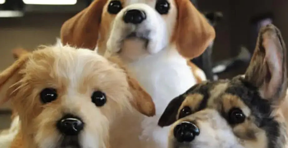 A Custom Stuffed Dog Is a Wonderful Way to Remember Pet- stuffed dog