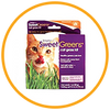 Catnip & Pet Grass 