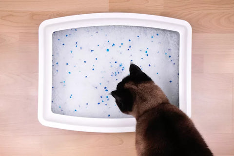 Crystal Cat Litter