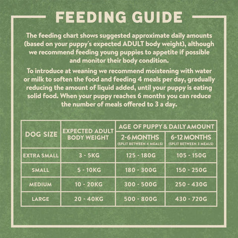 Puppy Feeding Guide
