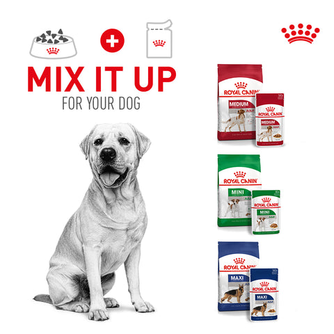 Tailored nutrition that helps cats and dogs live their healthiest lives.