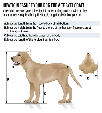 ic: How to measure your pet for a travel crate?