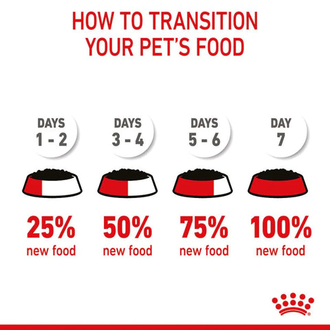 This is a banner image for the Wet Cat Food Collection page, featuring a variety of delicious and nutritious wet cat food options in colourful packaging. The image showcases a happy and healthy cat enjoying a meal, with a text overlay promoting our premium wet cat food selections and special offers.