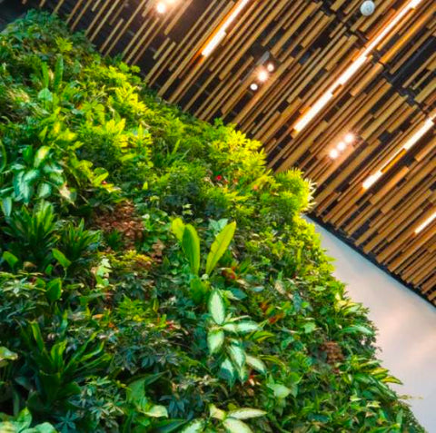 Tout sur la décoration murale de plantes artificielles en 2022 | Jungle  Design