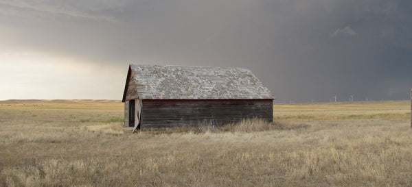 Reclaimed Wood Flooring is the Most Eco-Friendly Choice