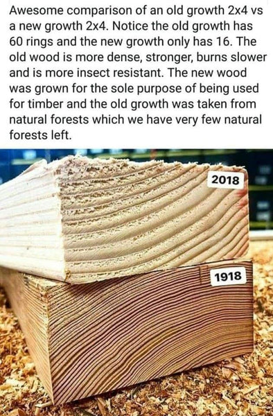 Old growth wood vs. newly harvested wood density comparison