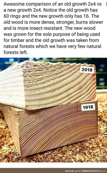 Comparison Between Old Growth Wood Which Is More Dense and Durable Than Newly Harvested Wood