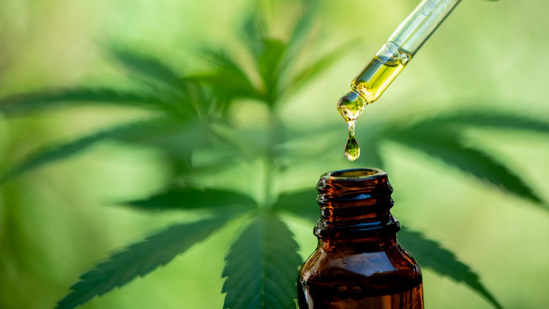 A bottle of CBD oil in front of blurred out cannabis leaves, with a dropper dripping a drop of oil into the bottle.