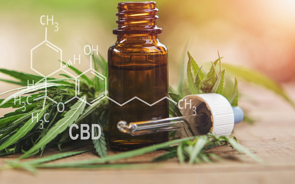 A dark brown bottle of cbd oil placed in front of a hemp plant