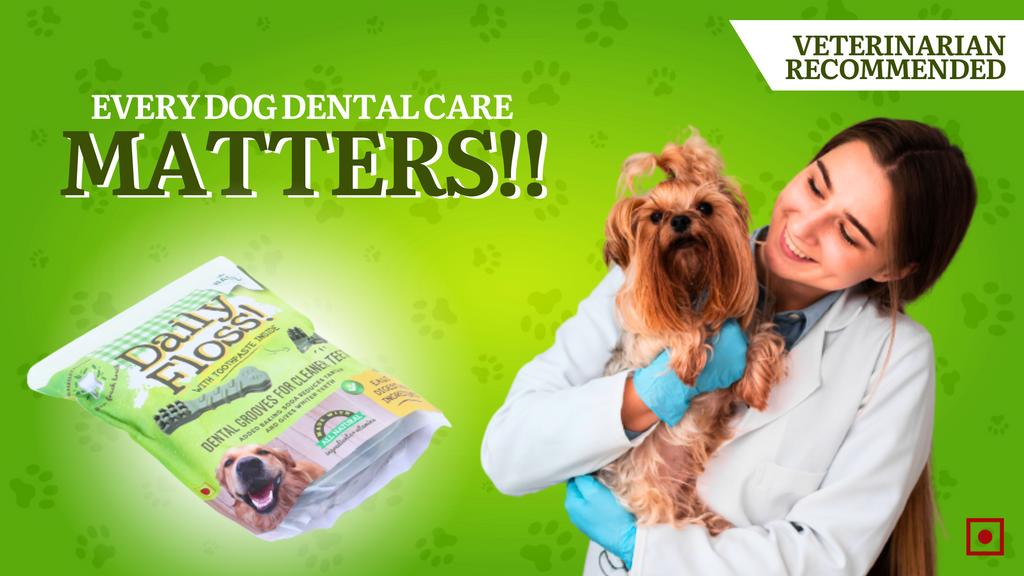 Veterinary Reccomended Dental Care for Dog