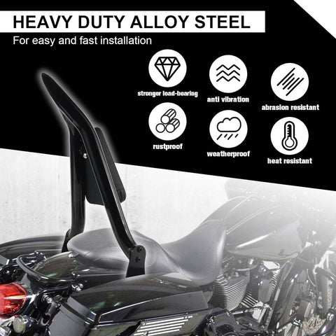 Harley Davidson motorcycle with 16-inch detachable sissy bar and pointed passenger rear backrest1