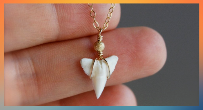 Exaggerated Big Shark Tooth Pendant Necklace Simple Simple Female Alloy  Accessories Jewelry Trendy Sexy Punk Gothic Leather Hear - AliExpress