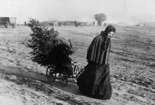 Christmas in Victorian Era, Woman returning home from tree farm in 1895.
