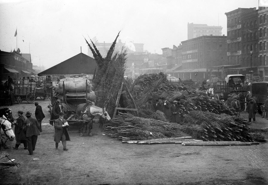 Christmas-tree market on West Street across from Pier 21, near Duane Street in New York City, (around 1910 to 1915).