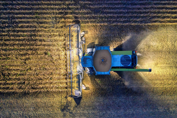 Soybean Harvesting - Summerfield Candle Co.