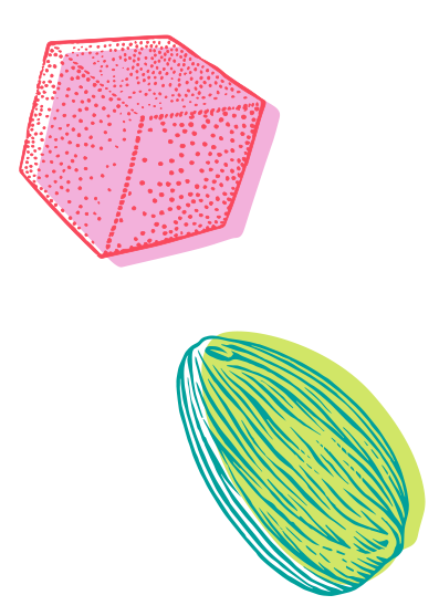 a illustration of a sugar cube and an almond