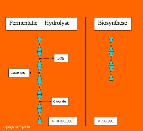 Biosynthesis