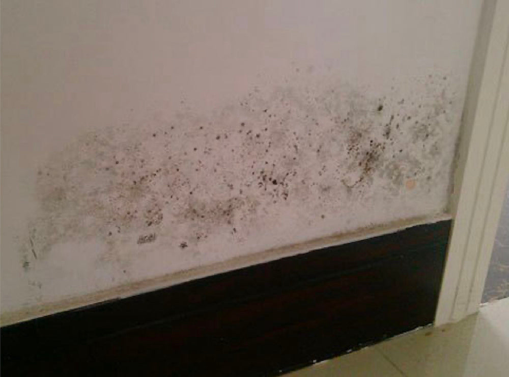 Mould on the wall can be tricky