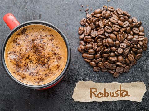 Robusta Coffee Beans 