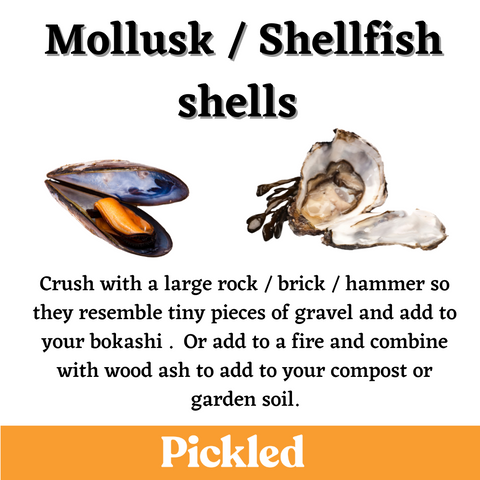 mollusk shellfish shells in compost
