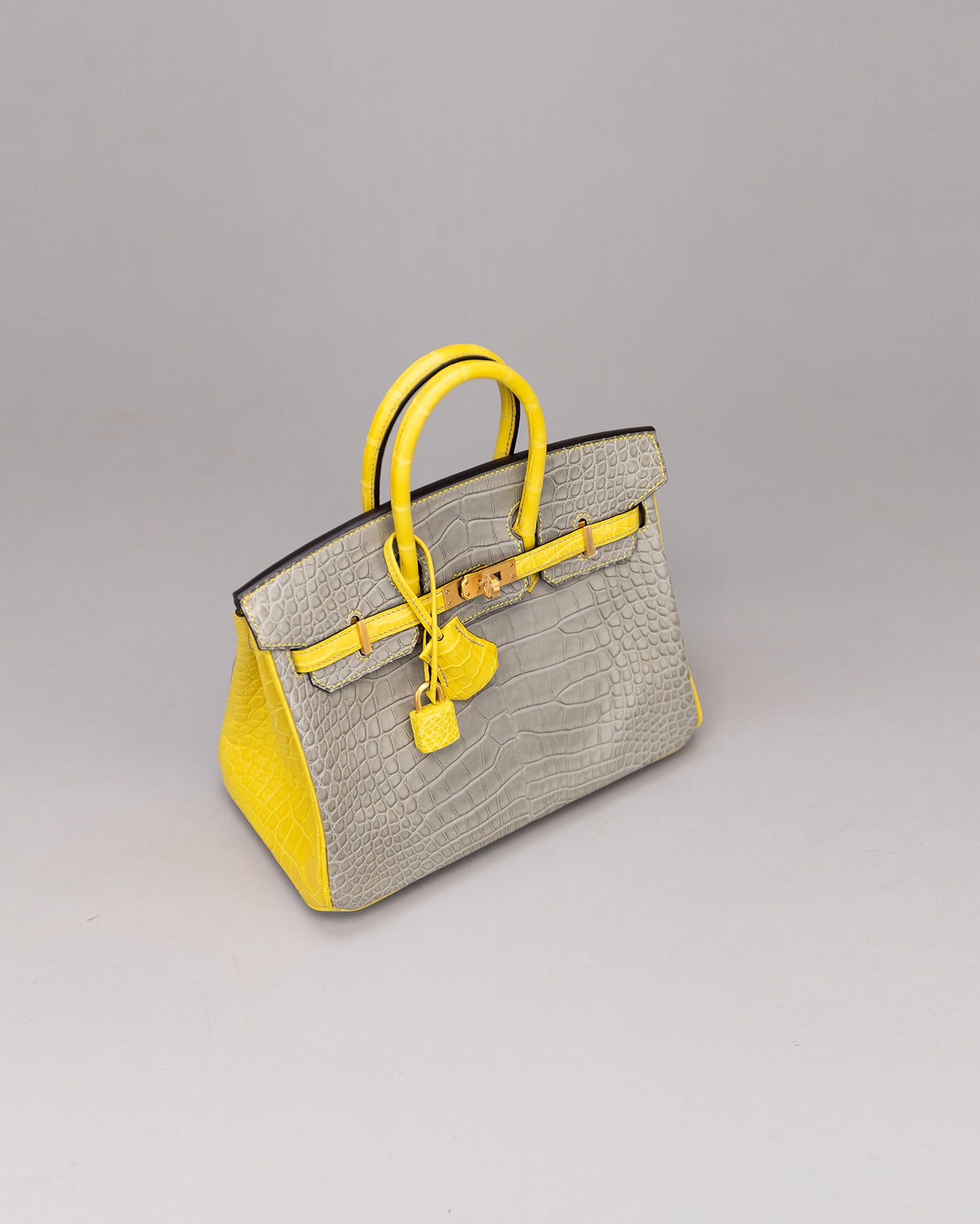 birkin snakeskin