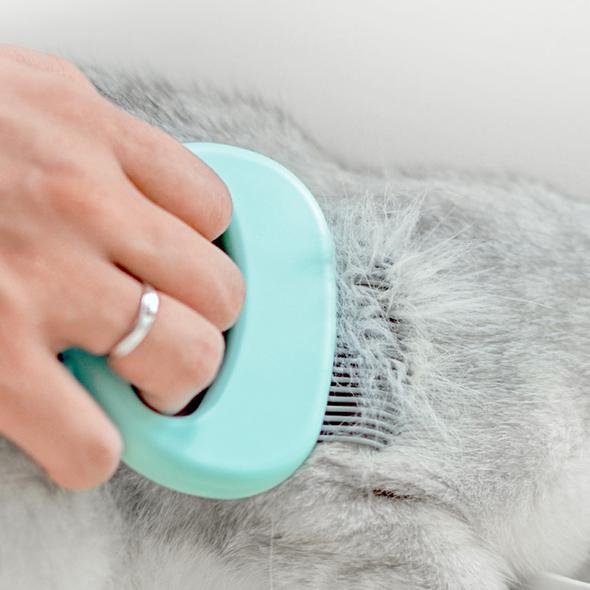 Peine de masaje para depilación de gato