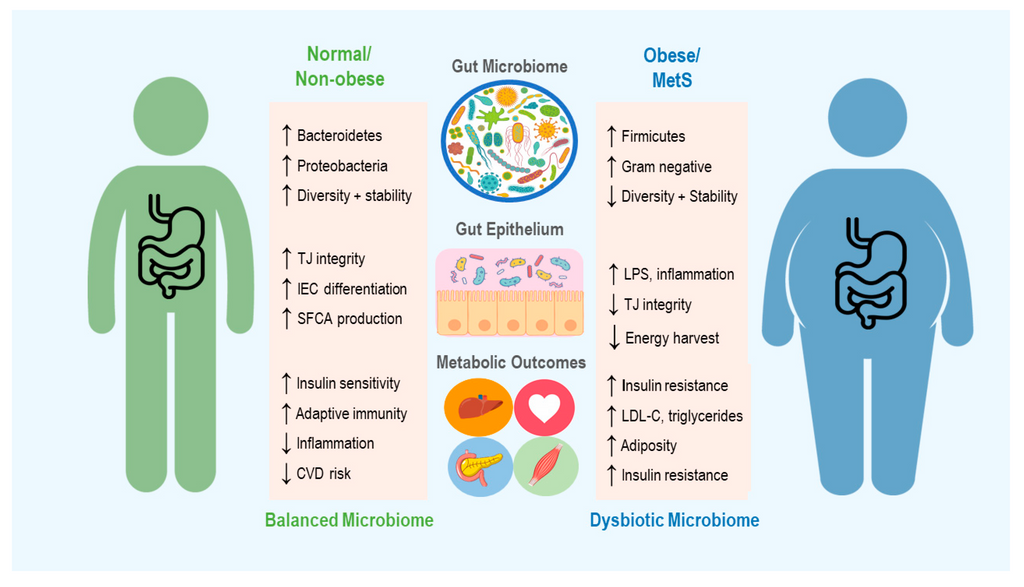unhealthy gut biome and weight gain