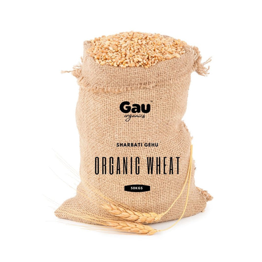 Organic Wheat Fresh from Farms (Sharbati)