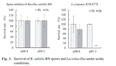 Bacillus Subtilis Stabilität