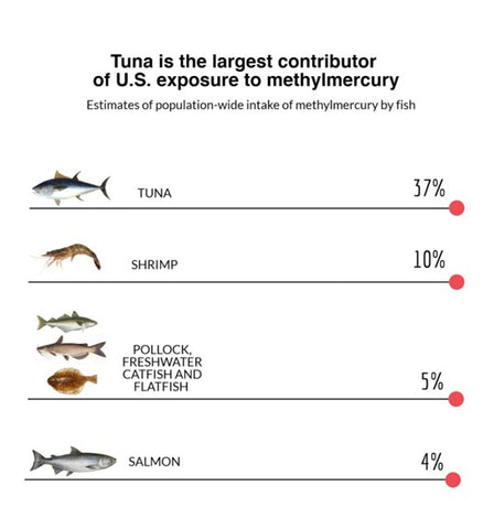 Fischen aus Aquakulturen 