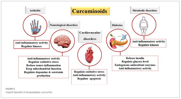 Curcumonoide Eigenschaften