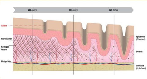 Hautalterung