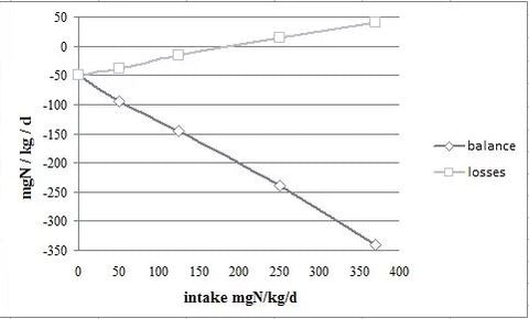 Proteinsynthese Proteinmenge