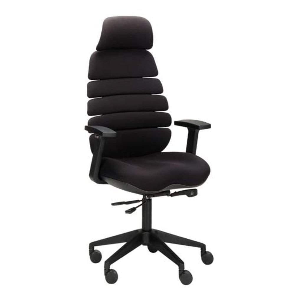 spine computer chair