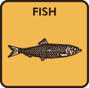 fish.png__PID:a38fd11d-5eee-4ceb-91a9-3eb937f013e1