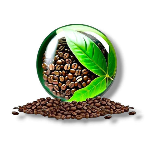Ethics image for our unique coffee page showing responsibly sourced beans with healthy green leaves inside a unique looking glass ball