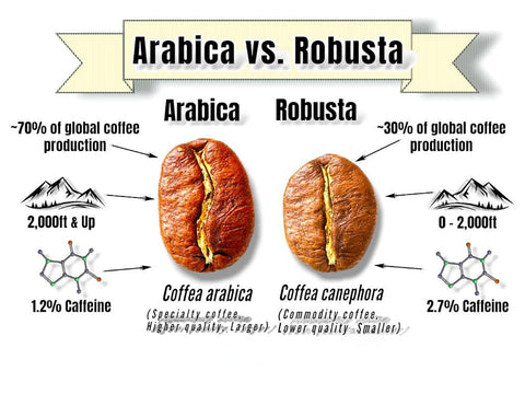 Arabica vs Robusta