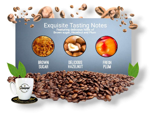 Display showing taste notes of brown sugar, hazelnut, and plum for central and south american roast