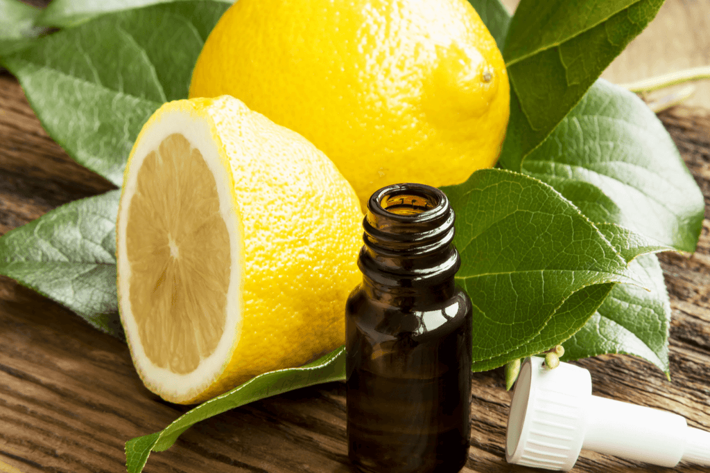 A bottle of freshly extracted lemon essential oil, known for its refreshing scent and various uses in aromatherapy and cleaning.
