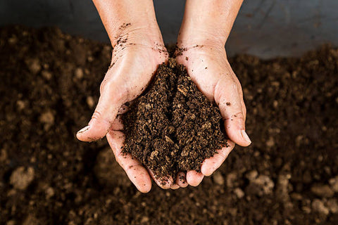 composter chez soi permet de produire son propre engrais naturel pour enrichir la terre de son potager