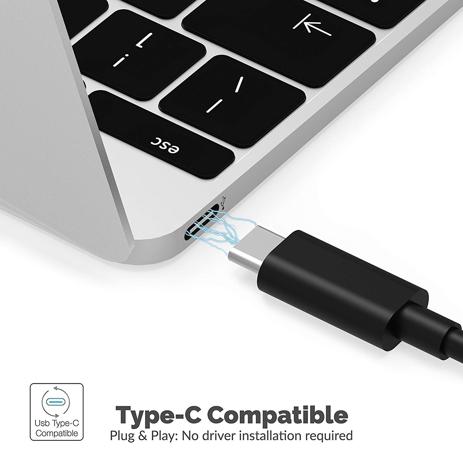 Krijger Chromatisch Ecologie USB 3.1 Type-C to DisplayPort Adapter - Sabrent