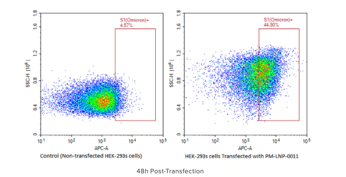 Figure 1: COVID-19 Spike Protein (Omicron variant) expression in HEK293s cells transfected by PM-LNP-0011, checked by FACS 48 hours post transfection. Cells were stained by 1° ab: R&D Systems anti-SARS-CoV-2 S1; 2° ab: Jackson ImmunoResearch Alexa Fluor 647 AffiniPure Goat Anti-Mouse IgG. Transfected cells were gated by non-transfected HEK293s cells under identical conditions. Cell morphology may be affected after transfection.