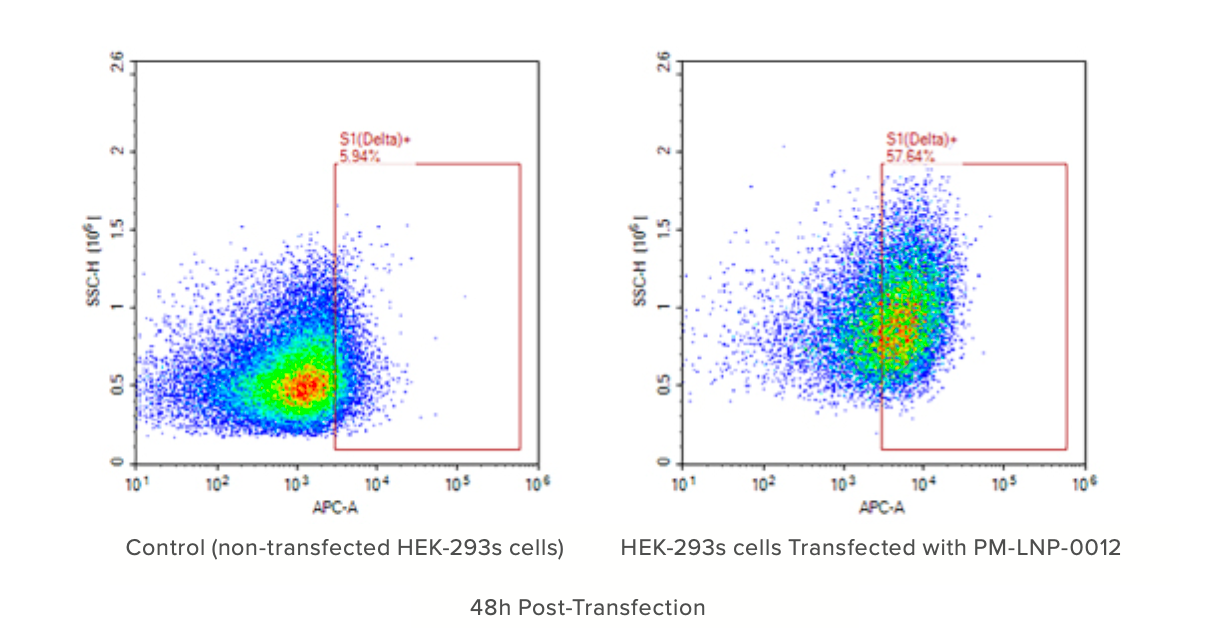 Figure 1: COVID-19 Spike Protein (Delta variant) expression in HEK293s cells transfected by PM-LNP-0012, checked by FACS 48 hours post transfection. Cells were stained by 1° ab: R&D Systems anti-SARS-CoV-2 S1; 2° ab: Jackson ImmunoResearch Alexa Fluor 647 AffiniPure Goat Anti-Mouse IgG. Transfected cells were gated by non-transfected HEK293s cells grown under identical conditions. Cell morphology may be affected after transfection.