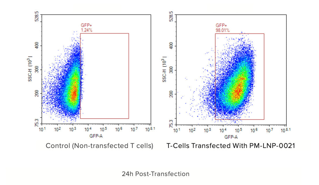 Figure 2: GFP expression of T cells transfected by PM-LNP-0021, checked by FACS at 24 hours post transfection. Gated by non-transfected T cells under identical culture conditions.