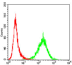 Figure 5:Flow cytometric analysis of Jurkat cells using HSP70 mouse mAb (green) and negative control (red).