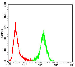 Figure 5:Flow cytometric analysis of Jurkat cells using HSP70 mouse mAb (green) and negative control (red).