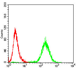 Figure 5:Flow cytometric analysis of Jurkat cells using CD126 mouse mAb (green) and negative control (red).