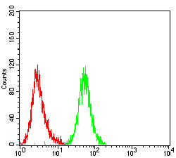 Figure 4:Flow cytometric analysis of Jurkat cells using CD32B mouse mAb (green) and negative control (red).