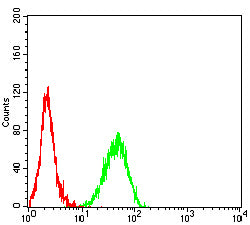 Figure 8:Flow cytometric analysis of MOLT4 cells using CD319 mouse mAb (green) and negative control (red).