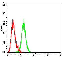 Figure 5:Flow cytometric analysis of Jurkat cells using HLA-F mouse mAb (green) and negative control (red).